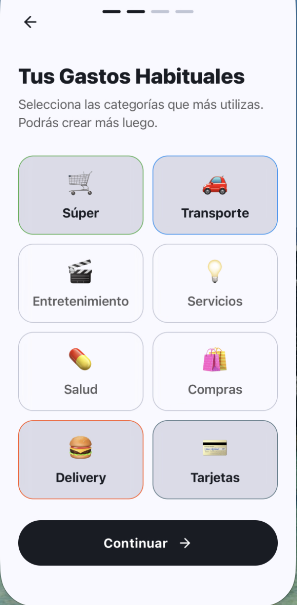Categorías de gastos
